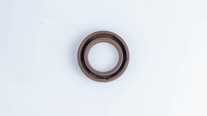 Сальник 25×40×8 oil seal для насосов EHASS (8400001) | Kazel, Турция